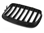 Grille calandre BMW X6 E71 de 2008 a 2014 Noir Mat