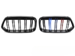 Grille calandre BMW X2 F39 de 2018 a 2023 Noir Brillant 3 couleurs