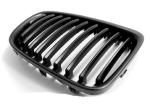 Paire de grilles de calandre BMW X1 E84 09-12 noir mat