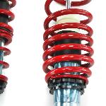 Kit Suspension Combine Filete Redline BMW Serie 5 E39 Berline 1995 a 2003