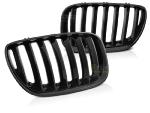 Grilles de calandre BMW X5 E53 LCI 2004-2006 Noir Glossy