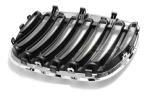 Paire de grilles de calandre BMW X5 E53 de 2004 a 2006 Chrome